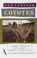 Coyotes