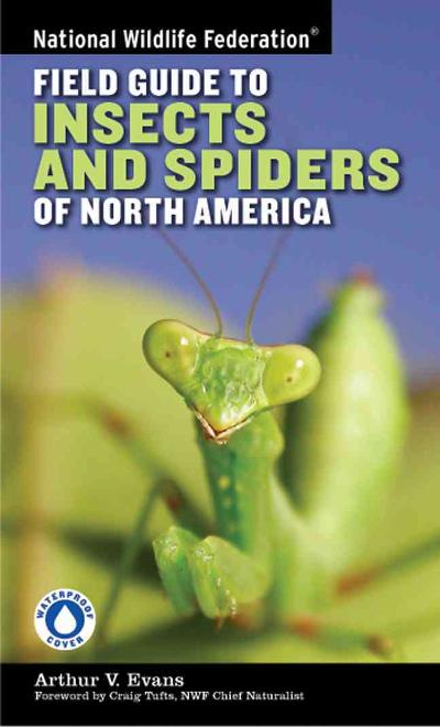 National Wildlife Federation Field Guide to Insects and Spiders & Related Species of North America 2nd edition 9781402741531 by Evans, Arthur V.