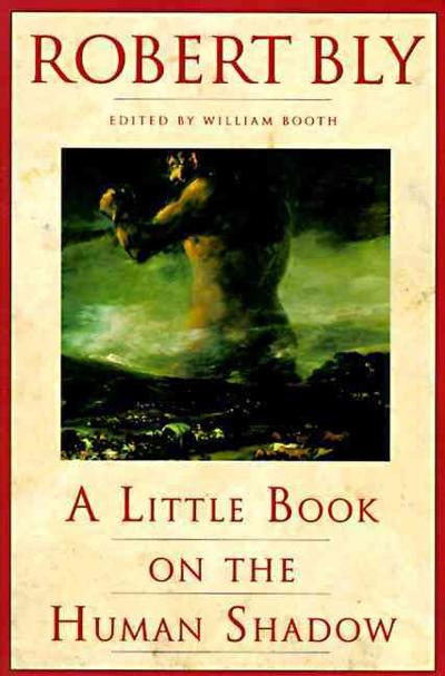 Little Book on the Human Shadow