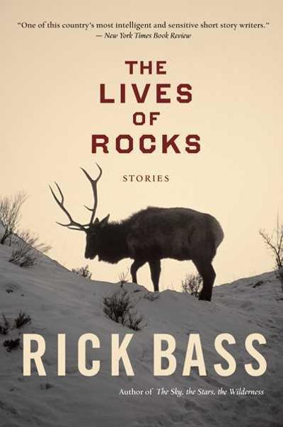 The Lives of Rocks 1st edition 9780618919666 by Bass, Rick