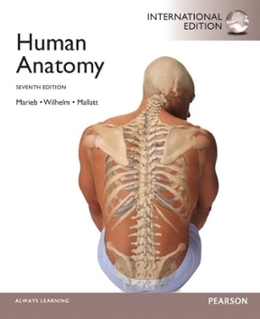essential anatomy or complete anatomy essential anatomy or complete anatomy