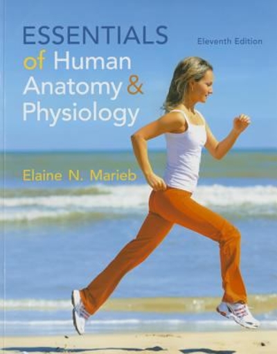 Essentials of Human Anatomy and Physiology 11th edition 9780321919007 by Marieb, Elaine N.