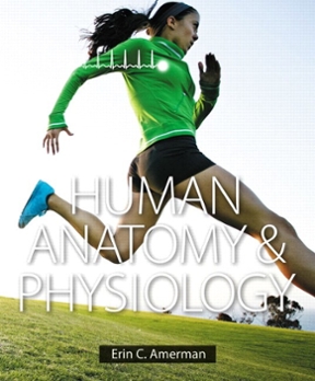 Human anatomy and physiology homework help Human anatomy and physiology homework help