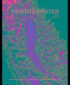 invertibrates