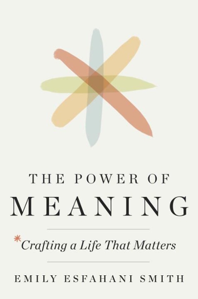 The Power of Meaning 9780553419993 by Esfahani Smith, Emily