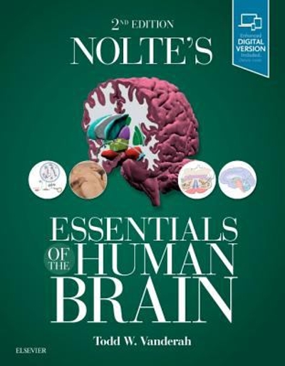Nolte's Essentials of the Human Brain 2nd edition 9780323529310 by Vanderah, Todd