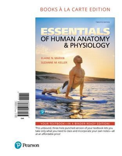 Essentials of Human Anatomy & Physiology, Books a la Carte Edition 12th edition 9780134593647 by Marieb, Elaine N.