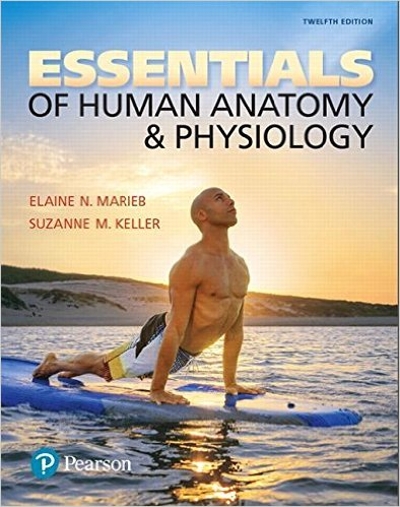 Essentials of Human Anatomy and Physiology 12th edition 9780134395326 by Marieb, Elaine N.