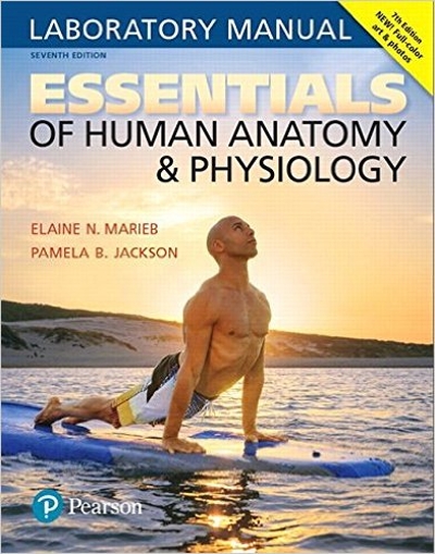 Essentials of Human Anatomy & Physiology Laboratory Manual 7th edition 9780134424835 by Marieb, Elaine N.