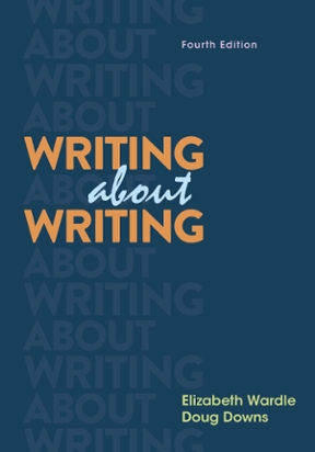 Essay writer 4e