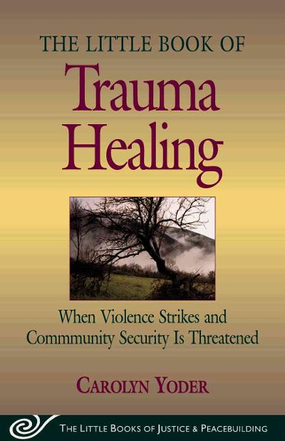 Little Book of Trauma Healing